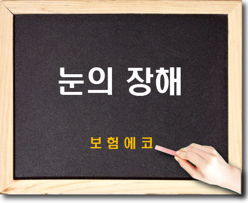  눈의 장해