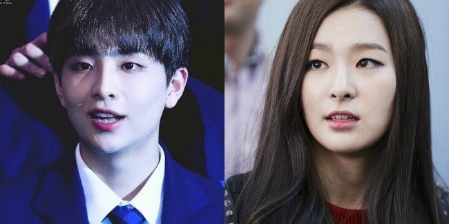  프로듀스 X 101 김시훈 레드벨벳 슬기 닮은꼴