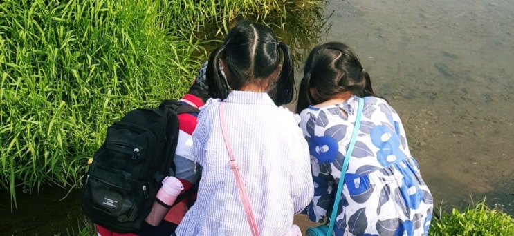 5월산책하기 좋은 날-날이좋아서 5월산책하기 좋은 날-날이좋아서