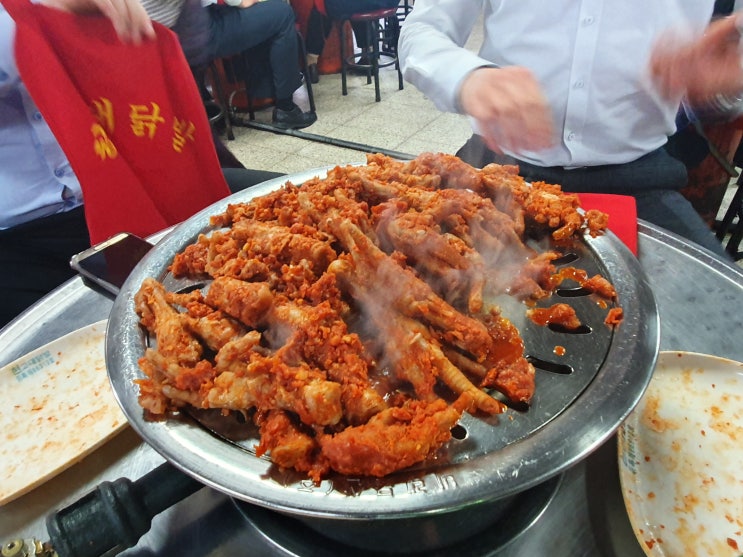  [성북구 안암역] 현 고대 닭발