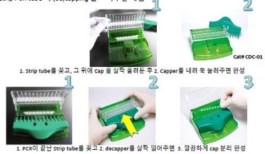 High Quality PCR Strip tube & Easy tool! : 네이버 블로그