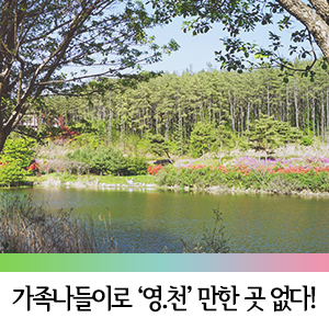  영천 가볼만한 곳 :: 봄/여름에는 기필코!