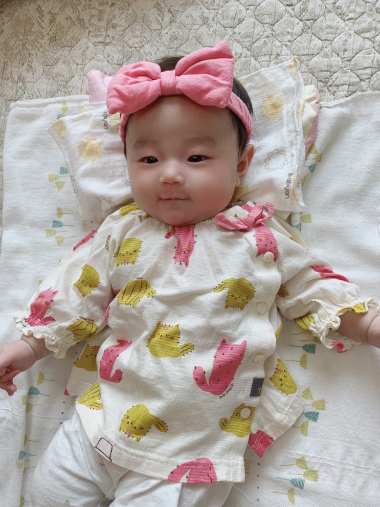  지아