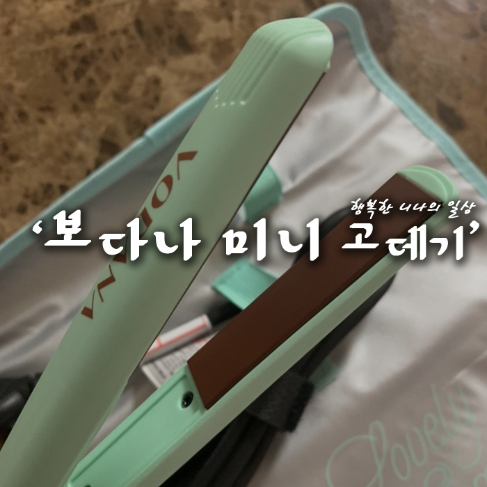 앞머리용 고데기 보다나 미니! 민트로 구매했어요 (한달 사용기 장/단점)