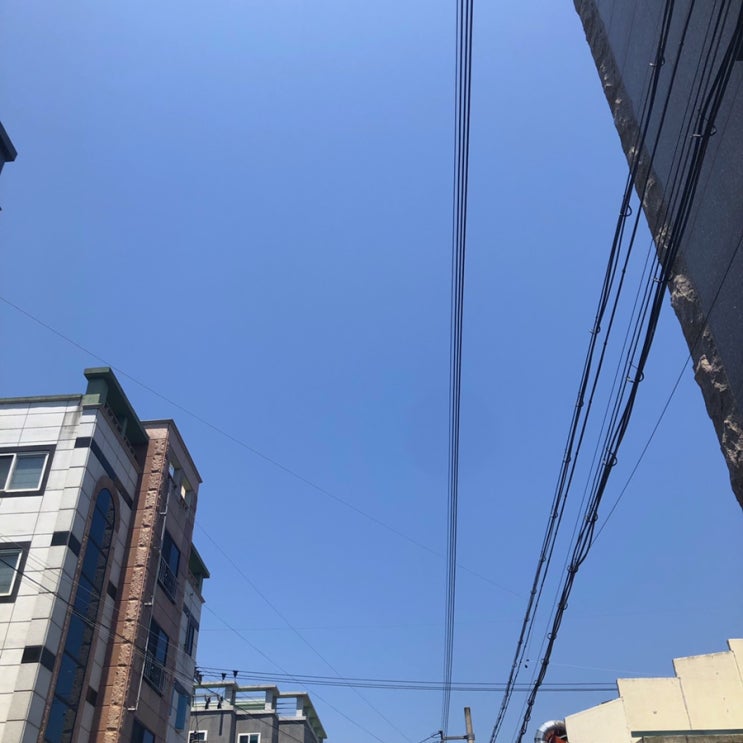  19.05.10~17 ヾ(๑)ﾉ"
