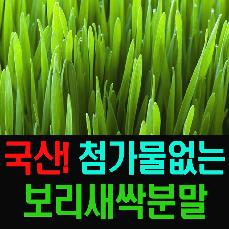  국산 청정지역 새싹보리분말(가루) 가격 & 보리새싹 파는곳