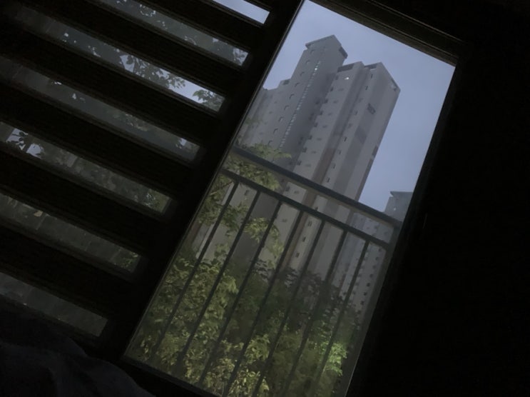  스며들기 좋은 오늘