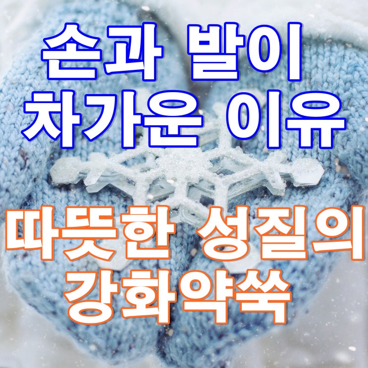  [손이 차가운 이유] 강화약쑥을 직접 쑥재배, 쑥판매하는 쑥농장