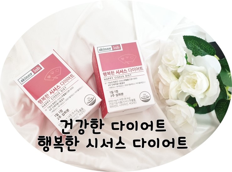  이다희다이어트 행복한 시서스 다이어트로 단기다이어트 성공했어요