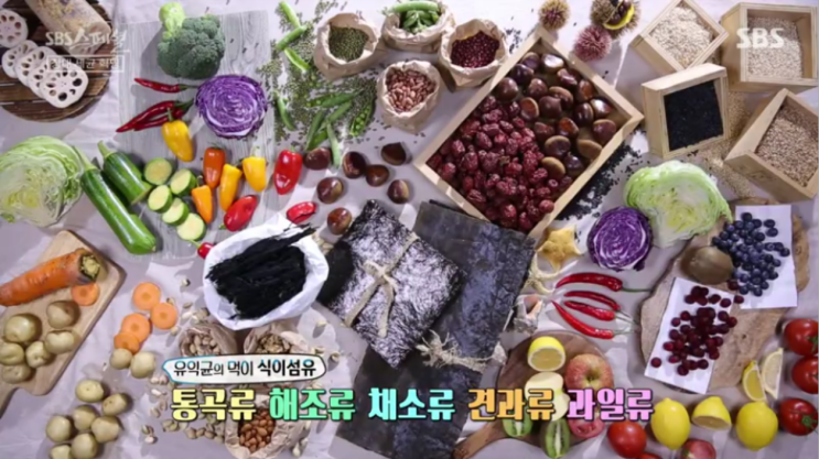  장내 세균 혁명 (SBS 스페셜 551회)