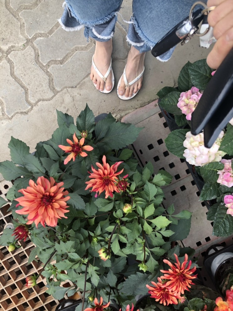  러브유어스 5월 11일 10시오픈 3시 클로즈 , 덕소꽃집