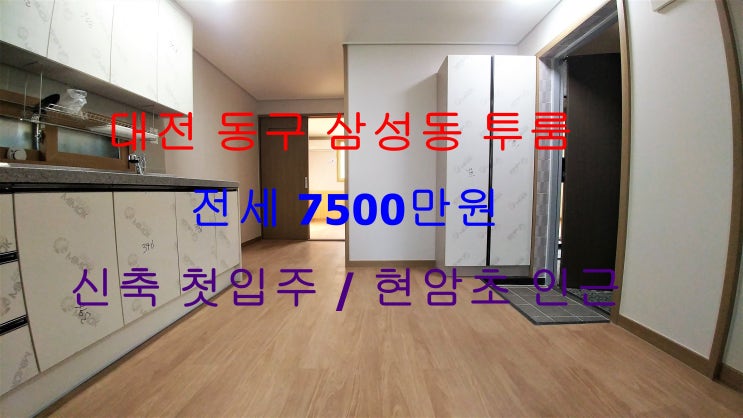  (대전 동구 삼성동) 삼성동 유일한 신축 첫입주 ~! 현암초등학교 인근에 있는 투룸 전세에요 ^^