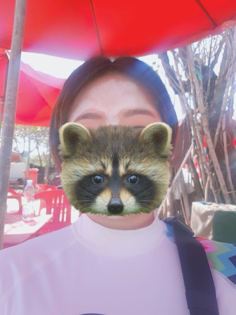 하버드 자연사 박물관의 최고 표본 10가지 : r/boston, image size:800x1067