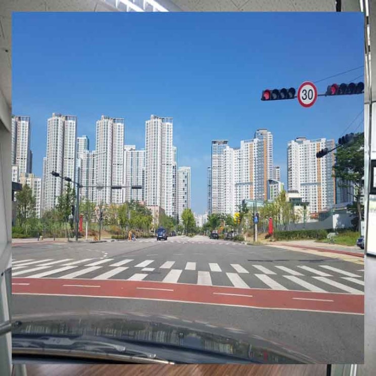  운전면허기초 운전면허연수 친절한  쌤이 잘알려줘요