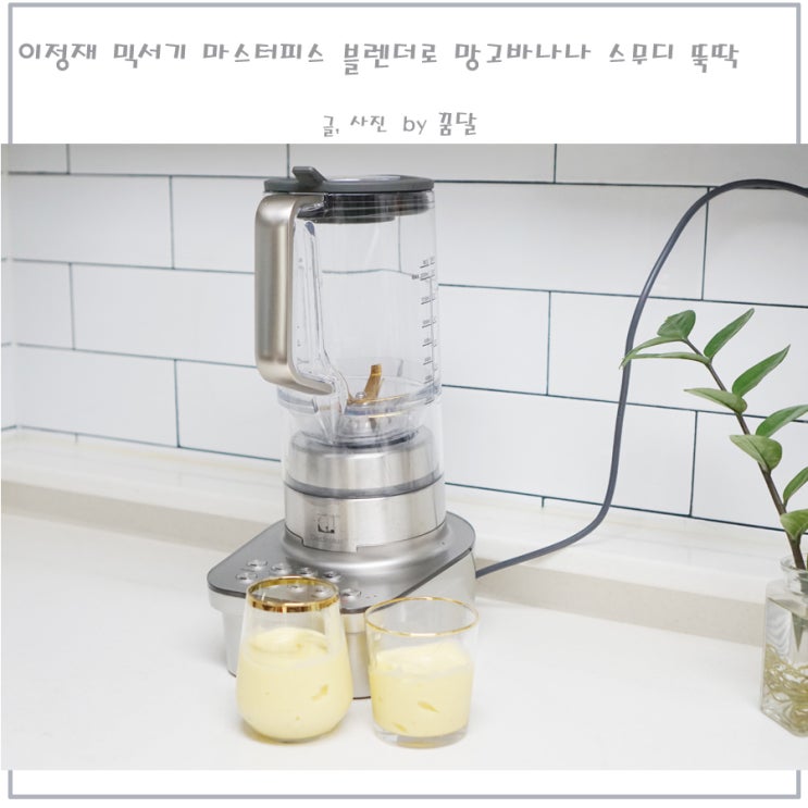 이정재 블렌더 일렉트로룩스 마스터피스 블렌더로 망고바나나 스무디 뚝딱