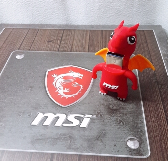  [MSI T-party] MSI 노트북_용용이 USB, 인형