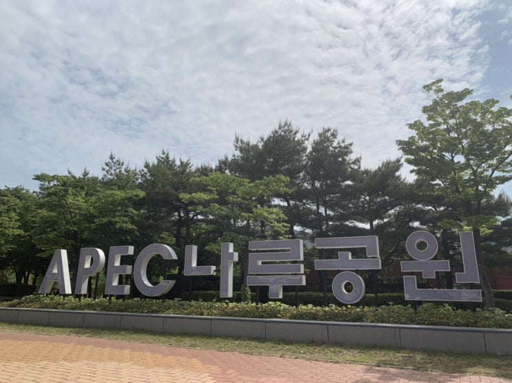  [센텀시티] APEC 나루공원 피크닉 / 신세계 스파랜드
