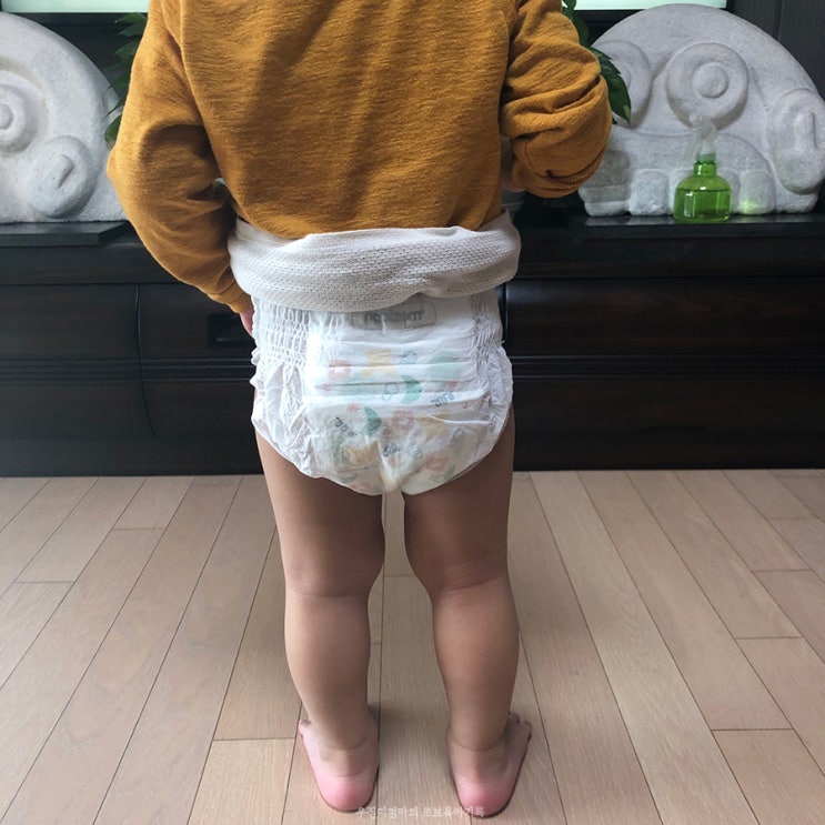  나비잠 듀얼핏 팬티기저귀 (여름기저귀로 좋아요~)