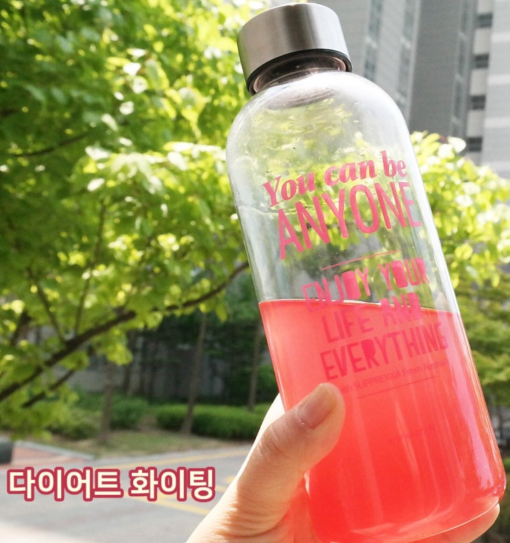  다이어트 식단 SPRX 확실하게
