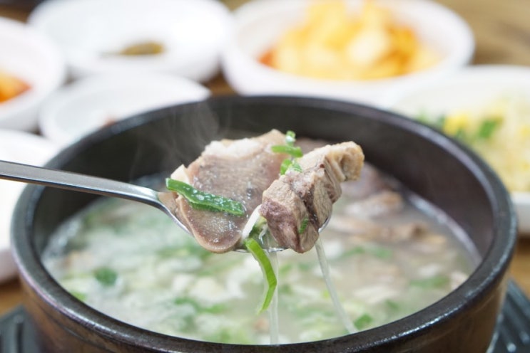  청주시청맛집 곤지암할매소머리국밥 국밥 한그릇 뚝딱