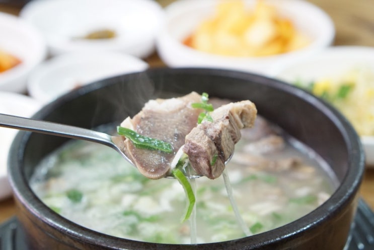 청주시청맛집 곤지암할매소머리국밥 국밥 한그릇 뚝딱