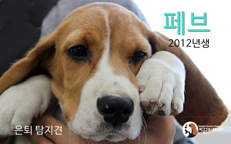  우리가 꼭 보아야 할 동영상