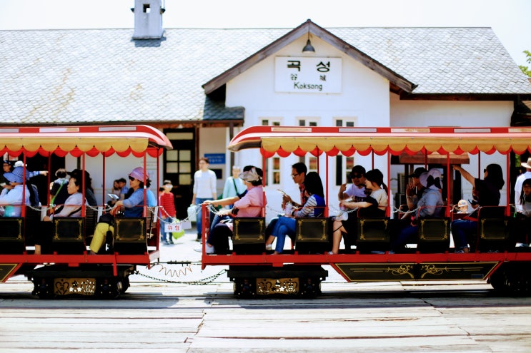  제9회 곡성 세계 장미 축제(2019.5.17~26) D-6일, 곡성 기차마을