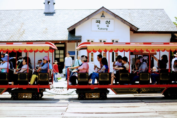 제9회 곡성 세계 장미 축제(2019.5.17~26) D-6일, 곡성 기차마을