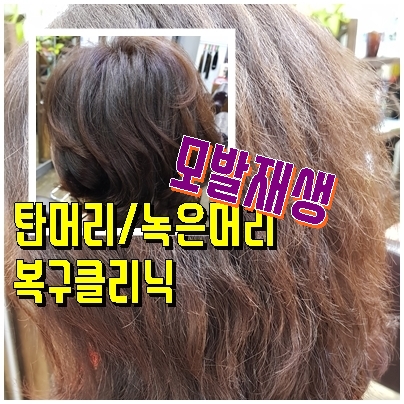  전주 손상모발 복구클리닉 녹은머리에 최고!!