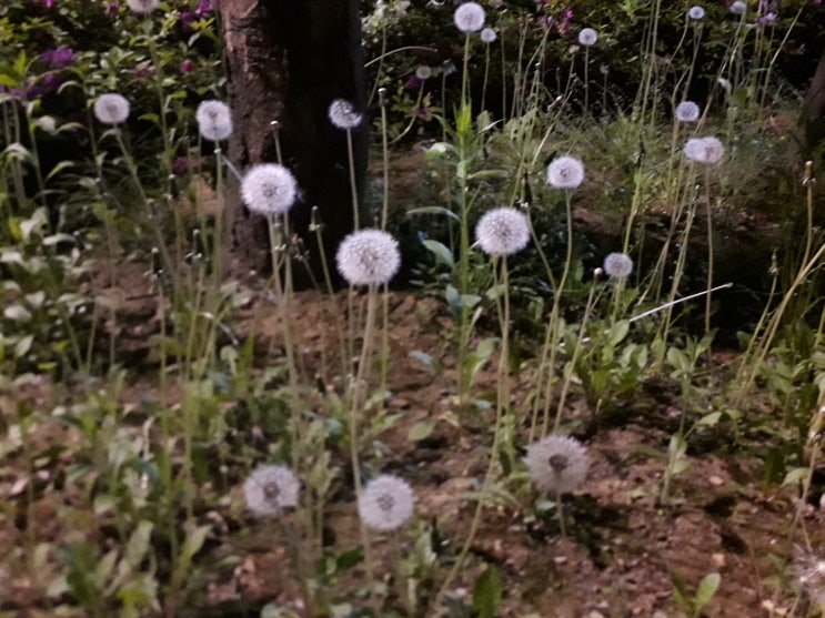 5월 밤편지