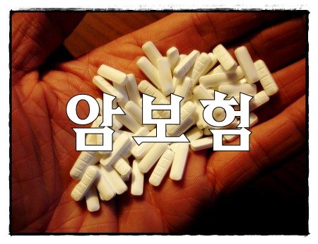  60대암보험 도움되었어요 __