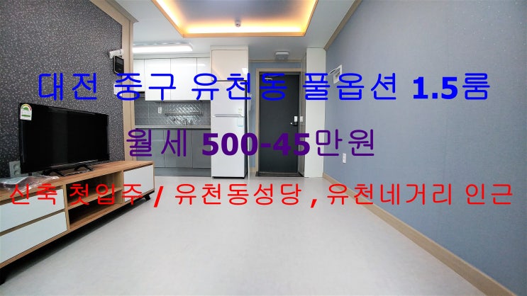  (대전 중구 유천동) 유천네거리, 유천동성당 인근에 월세로 나온 신축 첫입주 풀옵션 1.5룸이에요 ~ ^^