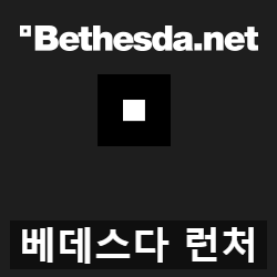 베데스다 게임 런처(Bethesda.net Launcher) 리뷰