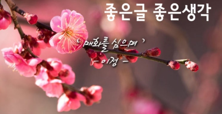  '매화를 심으며'