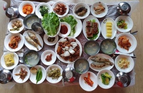  전남강진 설성식당 작약꽃.