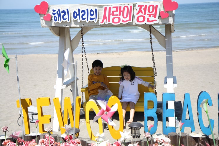  제주도 여행, 한달살기 - 제주도 해변 핫플레이스...이호테우 해변!! 월정리해변!!