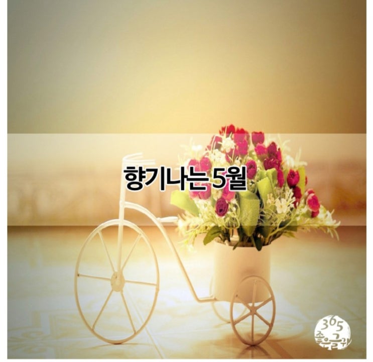  향기나는5월