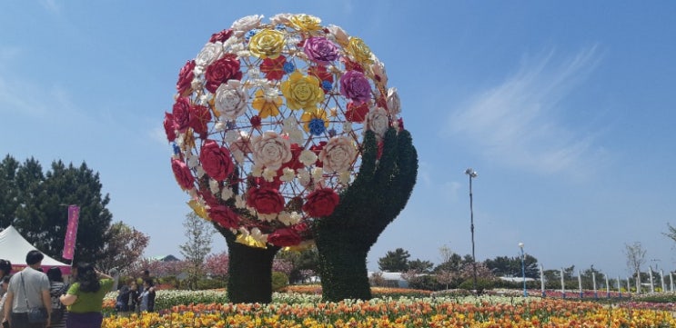  태안세계튤립축제 다녀왔어요.