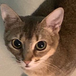  강다니엘