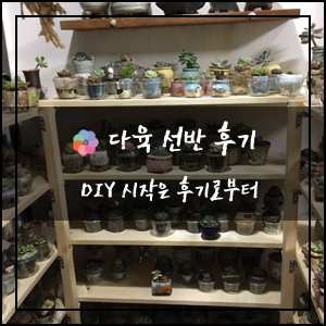  DIY 목재 선반 후기 - 다육이 선반