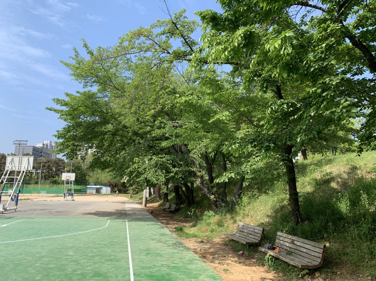  2019년 5월 둘째주: 어떻게 지나갔는지 모를 한 주