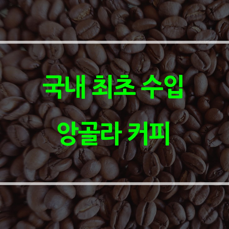  한국에 처음 들어온 앙골라 커피