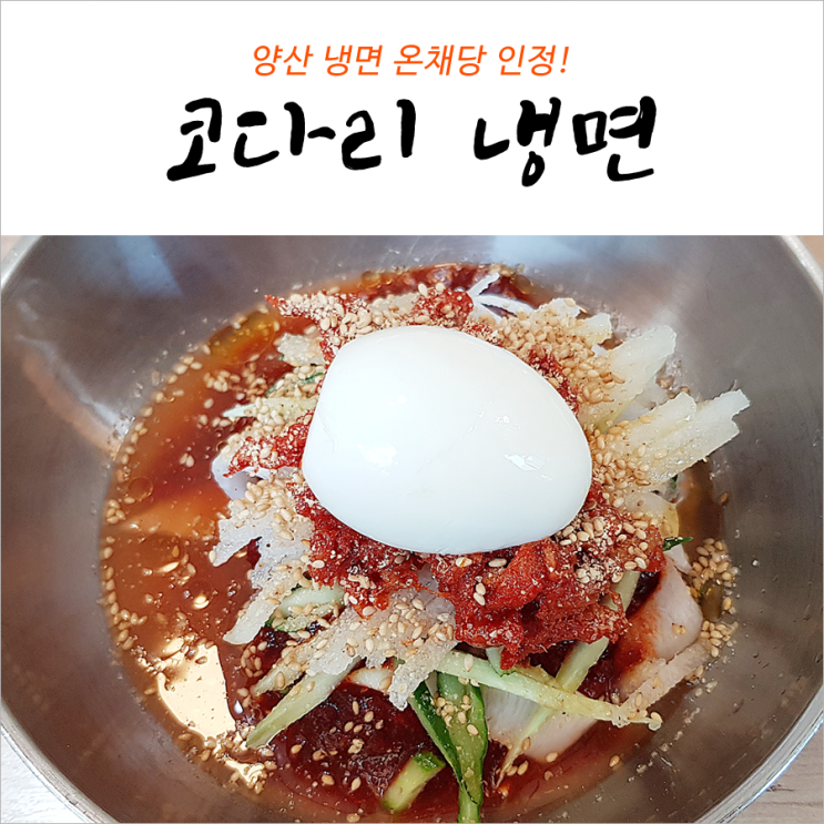  양산 냉면 온채당 코다리냉면 인정!