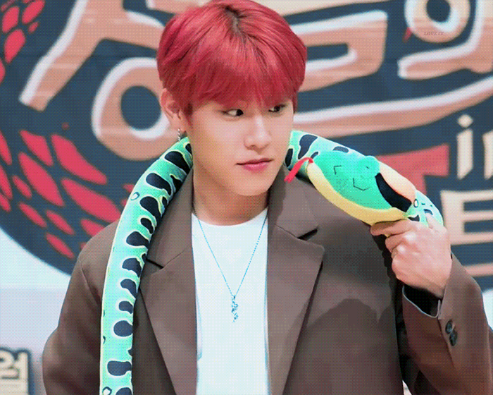  박우진 정글의법칙 D-Day! 복근공개,제작발표회