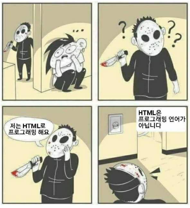 프로그래머 개그