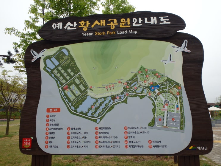  다시 날자, 황새야 -- 예산 황새공원