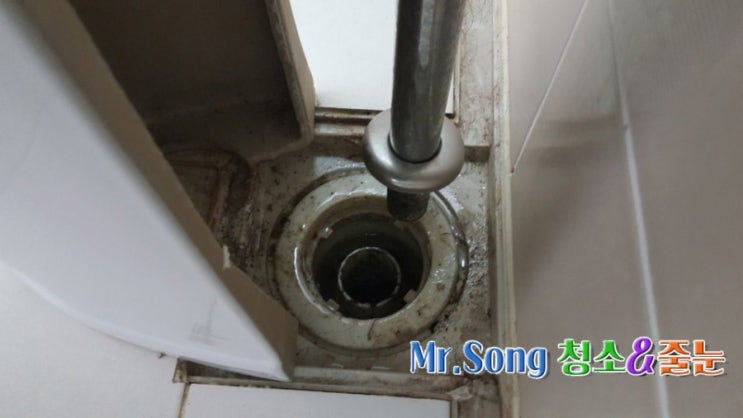  [미스터송청소&줄눈전문업체]양산 물금 LH1단지 이사청소//양산청소업체