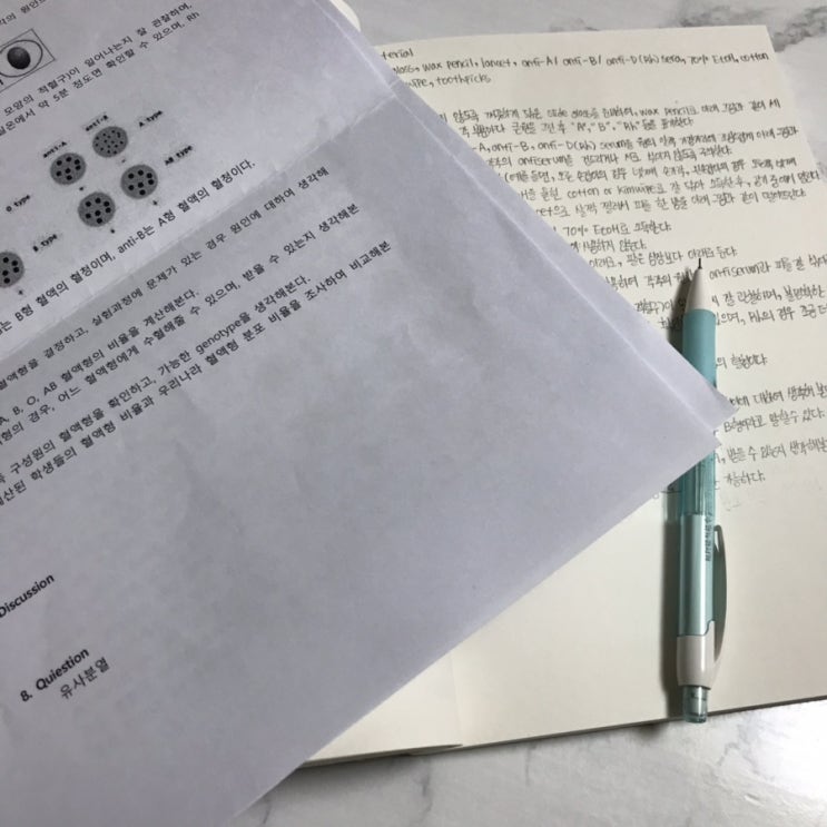  빈둥빈둥