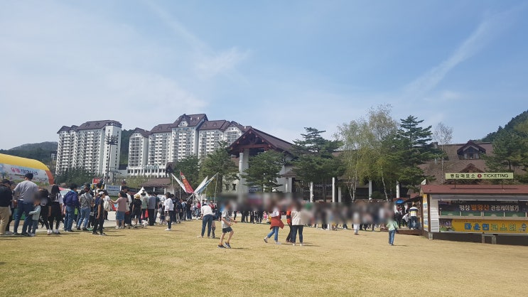  용평리조트 루지 재밌는 체험이였어요