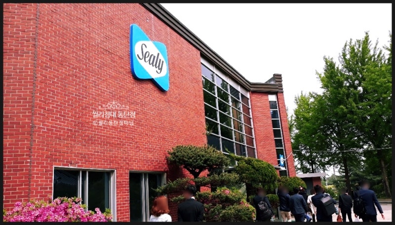 씰리침대 대리점주 여주 공장 방문기❤씰리침대 동탄점